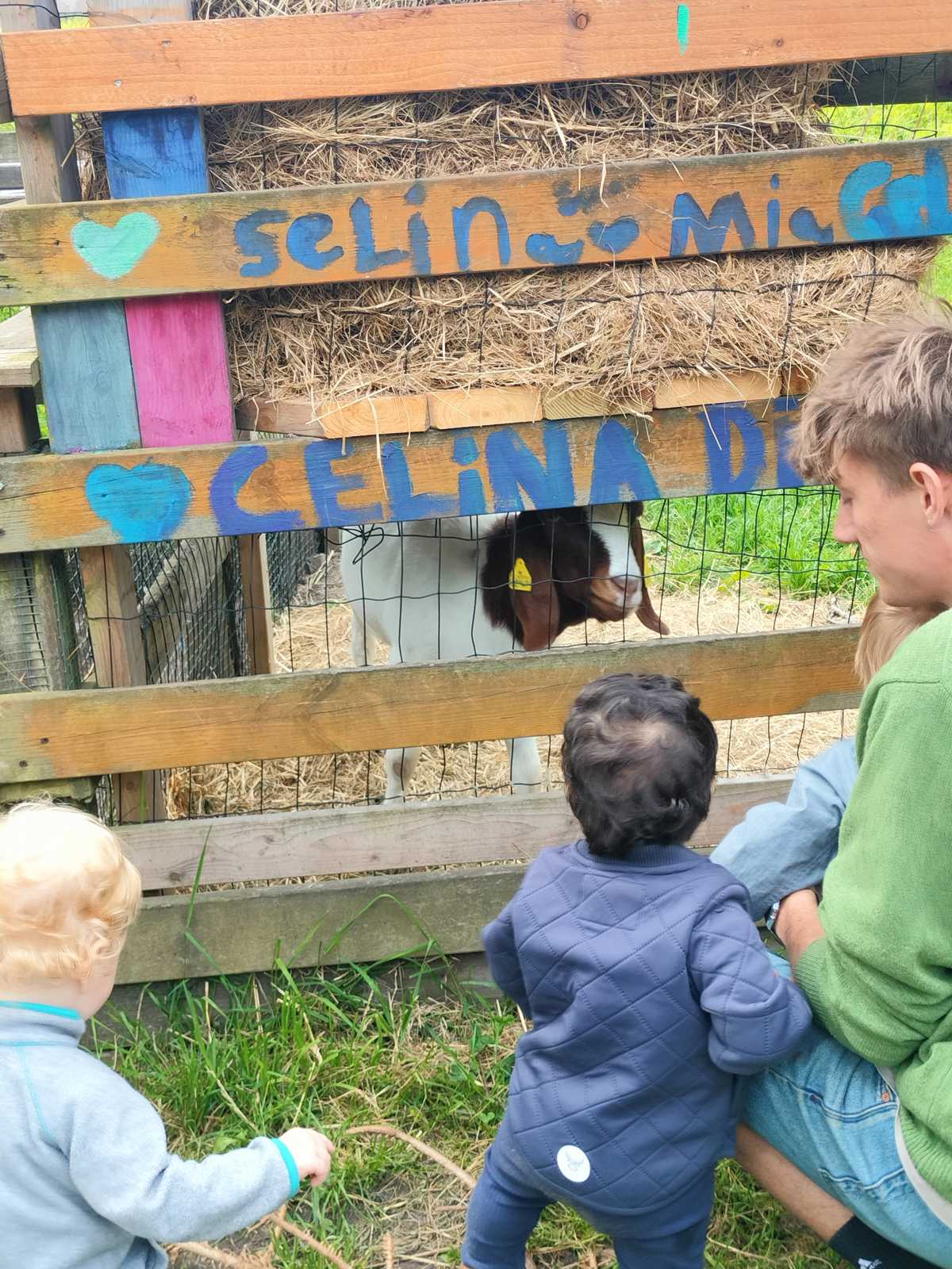 Dyr er sjove - her er vi på besøg ved geden