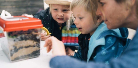 Pædagog og to børn kigger på insekter i en kasse