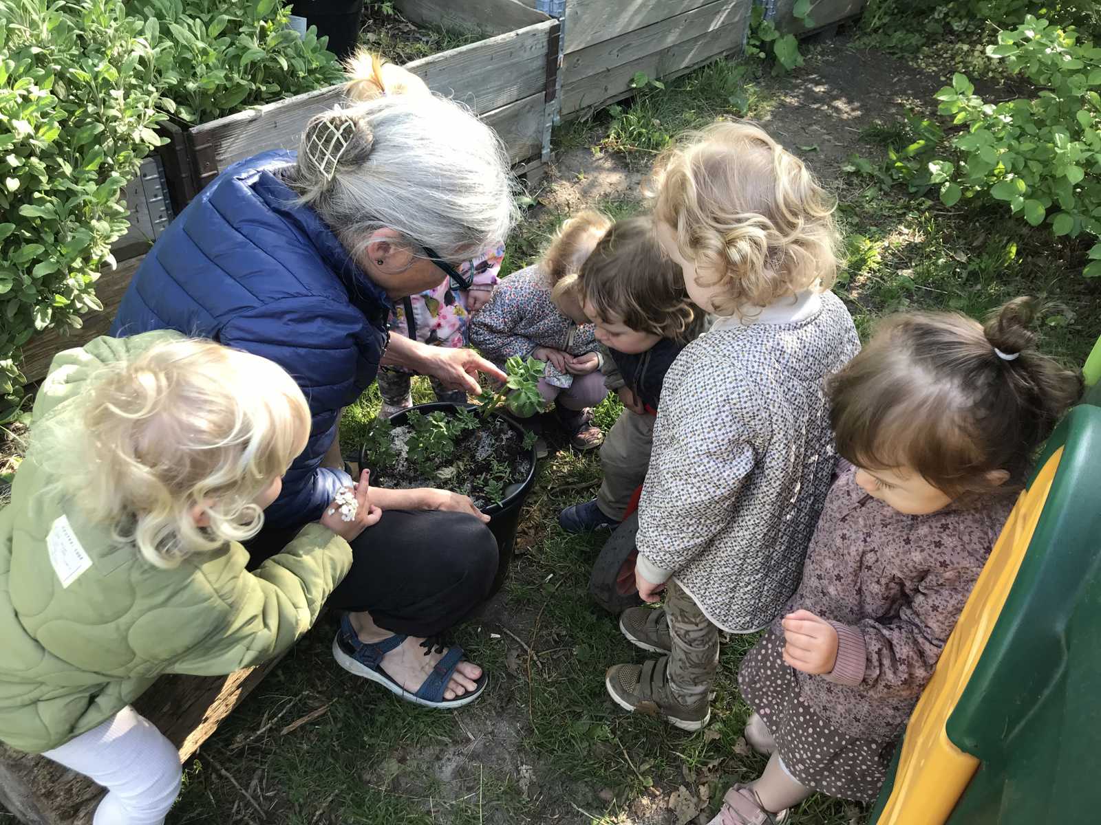 Børn og pædagog taler om planter og dyr på legepladsen